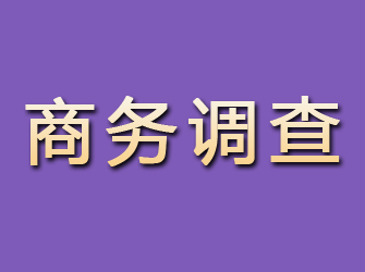 滦平商务调查